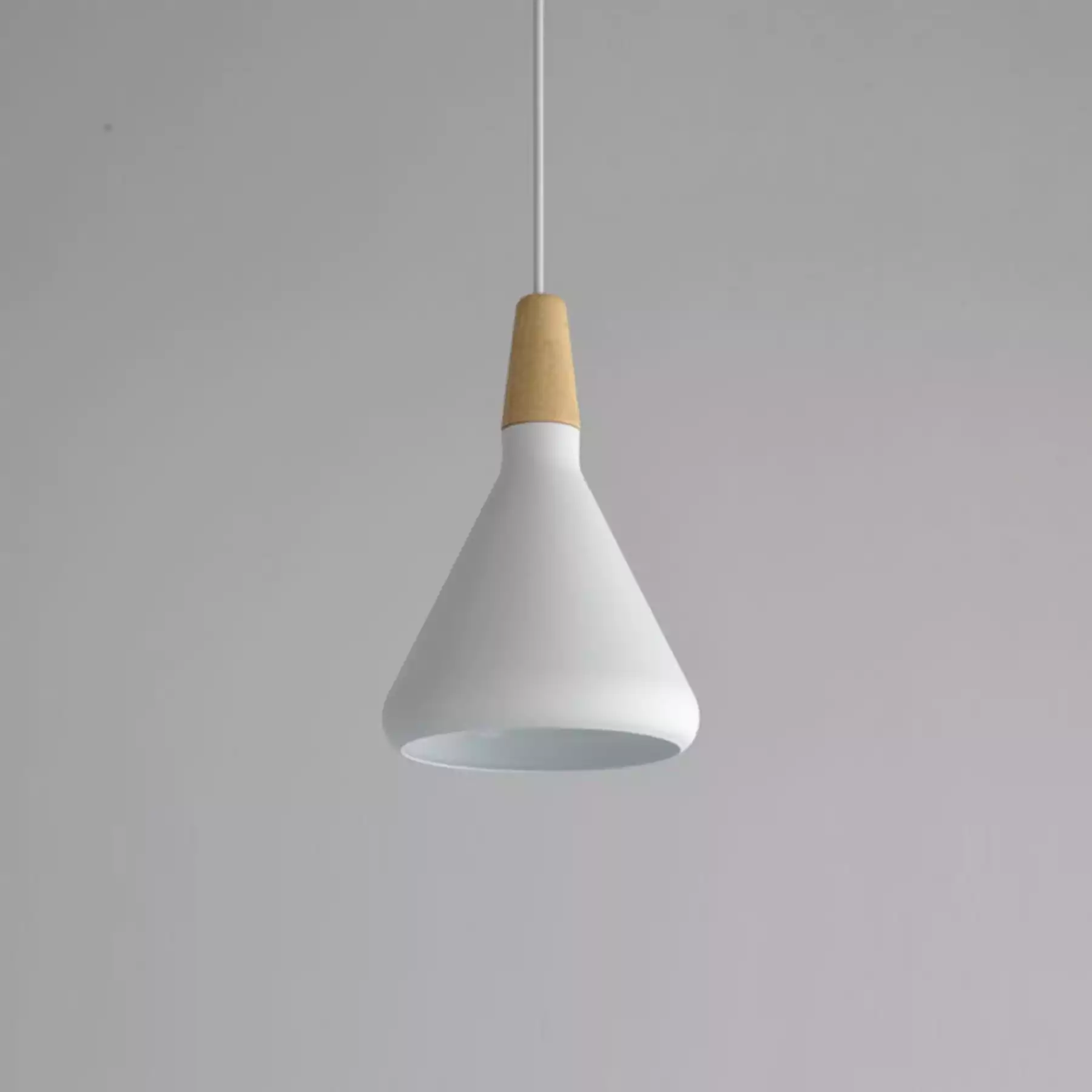 Canopy- Tall Pendant Light